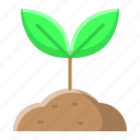agriculture, garden, leaf, nature, plant, sprout, tree