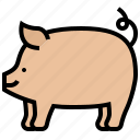 hog, livestock, pig, ranch, swine