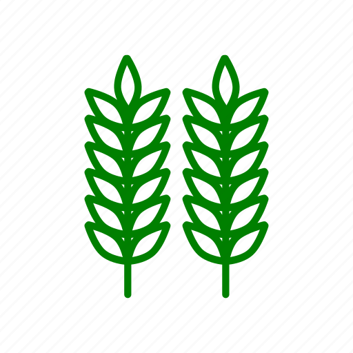 Wheat, farmlife, farmhouse, farmersmarket, farming, farmtotable icon - Download on Iconfinder