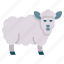 lamb, sheep, wool, animal 