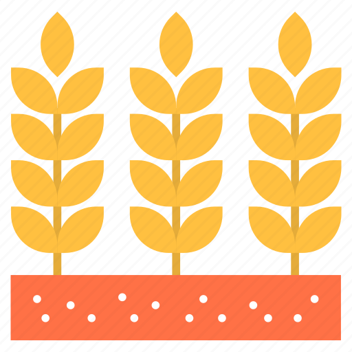 Farm, food, gluten, grain, wheat icon - Download on Iconfinder