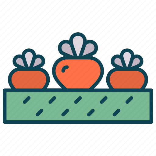 Food, radish, turnip, vegetable, veggie icon - Download on Iconfinder