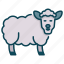 lamb, sheep, wool, animal 