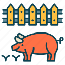 animal, farm, pig, piglet