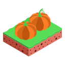 farming, vegetable, pumpkin, pumpkins, land, plantation, fruits