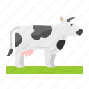 cow, cattle, farm animal, animal, domestic animal