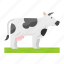 cow, cattle, farm animal, animal, domestic animal 