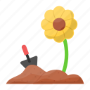 gardening, sunflower, flower plantation, farming, garden flower