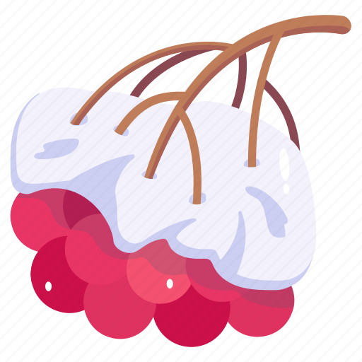 Snow plum, winter fruit, snow berries, snow cherries, healthy food icon - Download on Iconfinder