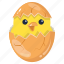 chick hatching, eggshell, easter egg, chick egg, egg hatch 