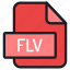 file, folder, format, type, archive, document, extension, flv 