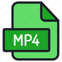 file, folder, format, type, archive, document, extension, mp4