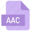 file, folder, format, type, archive, document, extension, aac 