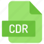 file, folder, format, type, archive, document, extension, cdr 