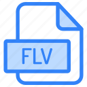 file, folder, format, type, archive, document, extension, flv