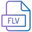 file, folder, format, type, archive, document, extension, flv 