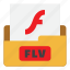 color, extension, file type, flv, flv file, format, movie file 