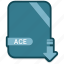 ace, document, extension, file, format 