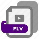 flv, video, file, extension, type, filetype, file format, document, export