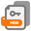 mdb, file, extension, type, filetype, format, file format, document, export 