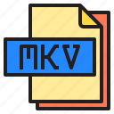 computer, file, format, mkv, type