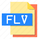 computer, document, extension, file, file type, flv