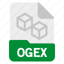 document, file, format, ogex