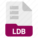database, document, file, ldb