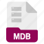 database, document, file, mdb 