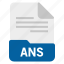 ans, document, file, format 