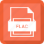 document, file, flac, tag 