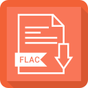 document, file, flac, format