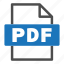 document, file, file format, format, interface, pdf 