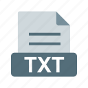 extension, file, file format, text document, text file, txt