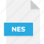 extension, file, file format, file formats, format, nes, type 