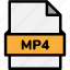 extension, file, file format, file formats, format, mp4, type 