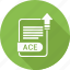 ace, document, extension, file, file format, type 