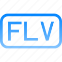 file, flv, data, storage, folder, format