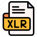 xlr, file, type, format, extension, document