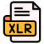 xlr, file, type, format, extension, document 