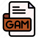 gam, file, type, format, extension, document