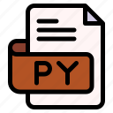 py, file, type, format, extension, document