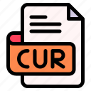 cur, file, type, format, extension, document