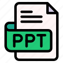 ppt, file, type, format, extension, document