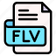 flv, file, type, format, extension, document 