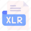 xlr, file, type, format, extension, document 