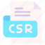 csr, file, type, format, extension, document 