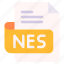 nes, file, type, format, extension, document 