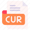 cur, file, type, format, extension, document