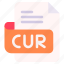 cur, file, type, format, extension, document 